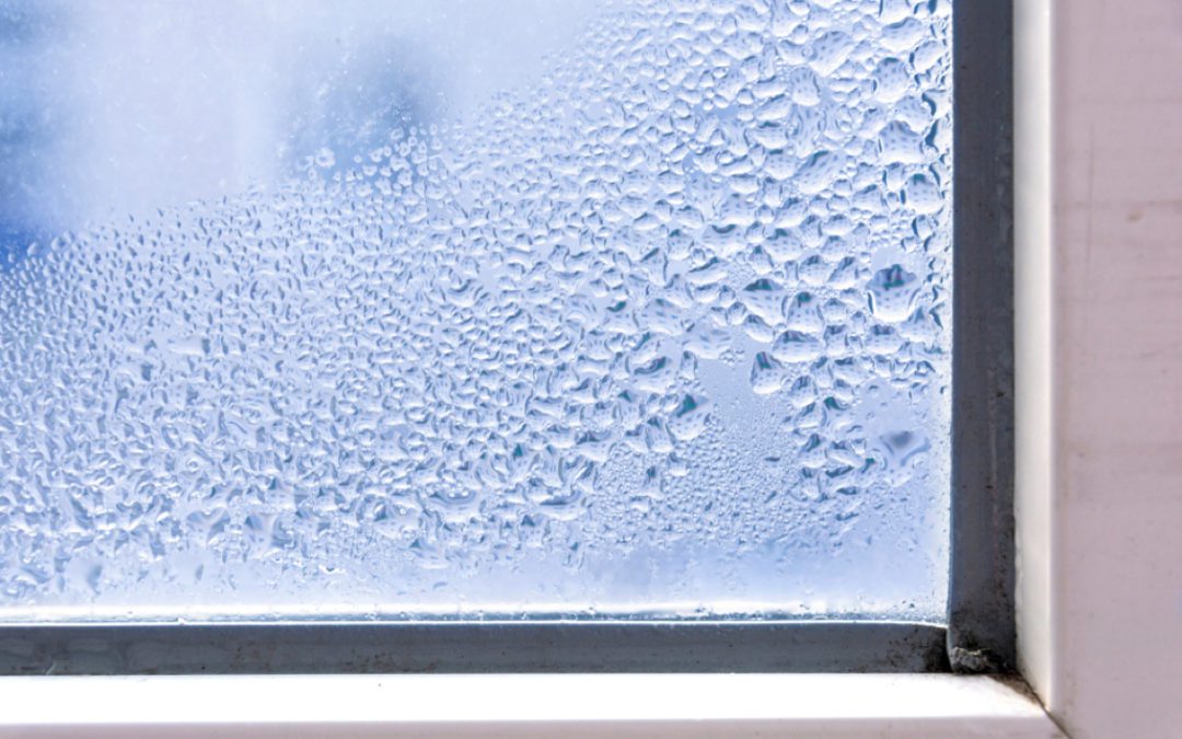 Should You Replace Your Windows Before Winter? Yes — and Here’s Why